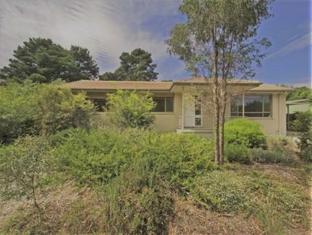 78 Pennefather Street, Higgins ACT 2615 - House For Rent | Domain - Photo 3