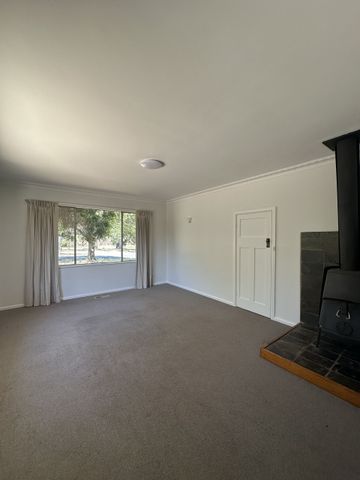 50 Paterson Street, Ainslie - Photo 3