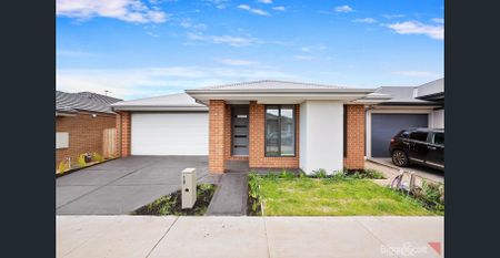 Beautiful 3 Bedroom House - Photo 4