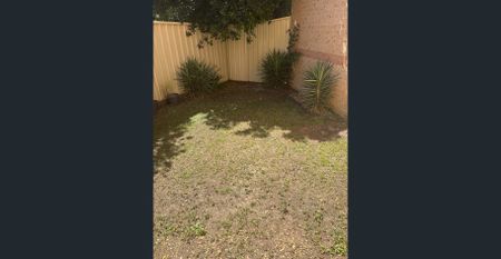 LOW MAINTENANCE & PRIVATE COURTYARD - Photo 5