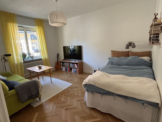 Nedre Slottsgatan, Uppsala - Photo 1
