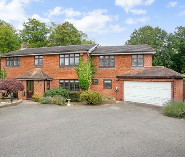 4 bedroom detached house to rent - Photo 4