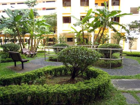 Blk 303B Anchorvale Court (Sengkang), HDB 4 Rooms - For Rent - Photo 5