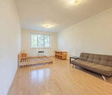 Příjemný byt 1+1 v ul. Za Zelenou Liškou. - Photo 6