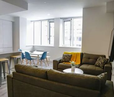 Rent 1 bedroom apartment in Dublin - Photo 3