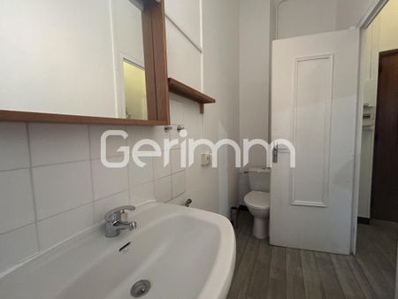Location Appartement 1 pièce 29m² GRENOBLE 38100 - Photo 5