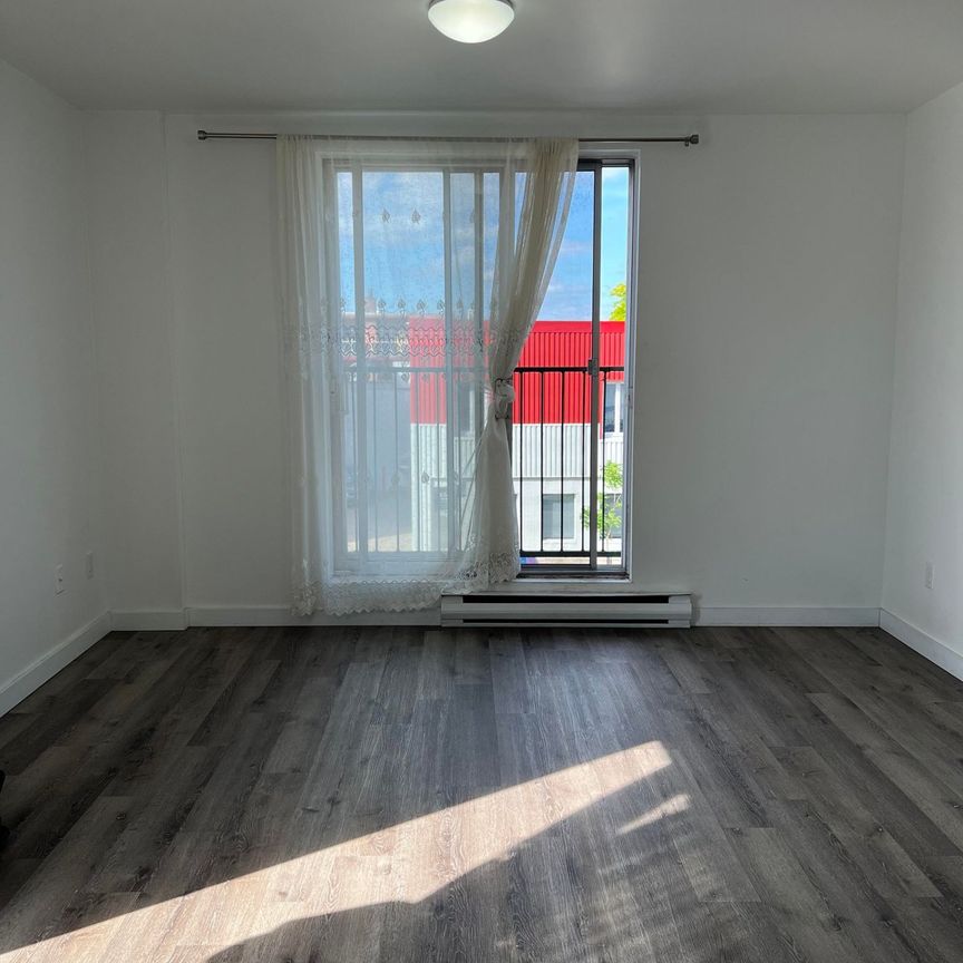 6580 Av. Papineau #1, Montréal (Rosemont/La Petite-Patrie), H2G2X2 - Photo 1