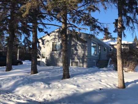 TWO BDRMS MAINFLOOR FOR RENT IN RADISSON HEIGHTS! - Photo 4