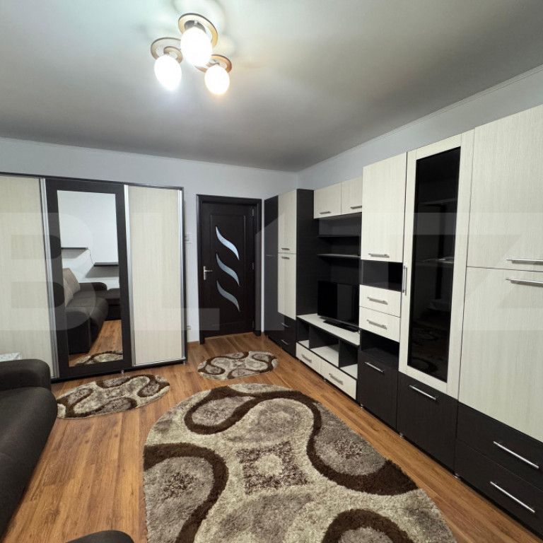 Garsoniera de inchiriat, 32 mp, Brazda lui Novac - Fotografie 1