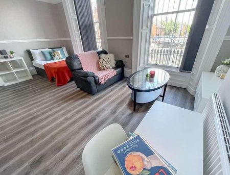 Upper Parliament Street, L8 - Photo 4