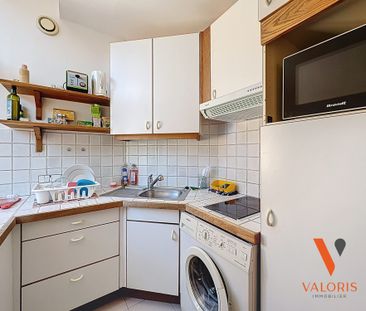 Location Appartement 1 pièce 19m² GRENOBLE 38000 - Photo 1