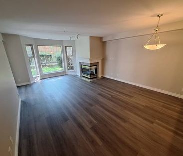 Spacious NEWLY Renovated 1 Bedroom with Private Terrace - Photo 1