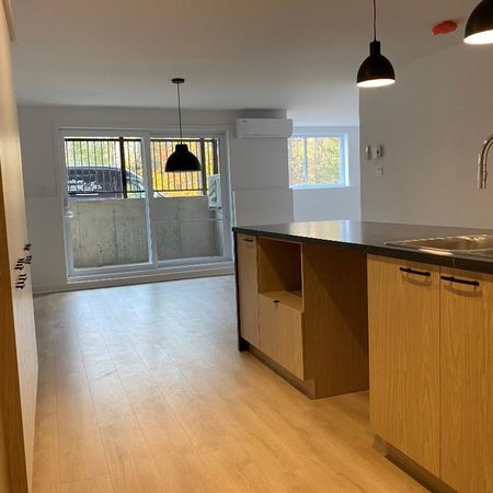 Logement 5 1/2 - Ascenseur - Mars 2026 - Photo 4
