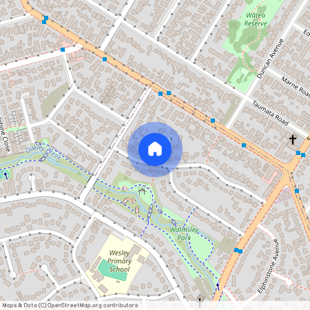 2 Thomson Street, Mount Roskill, Auckland City