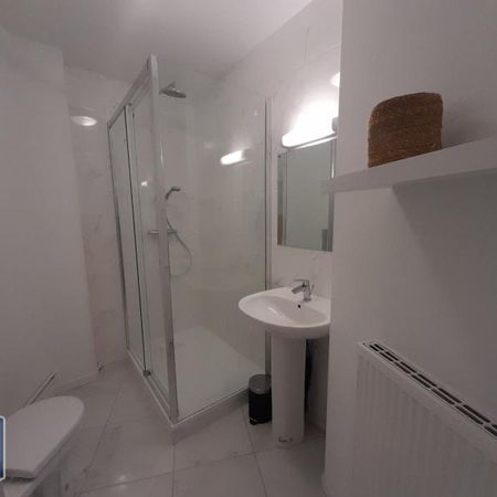 Location Appartement 1 pièce 30m² NANTES 44100 - Photo 4