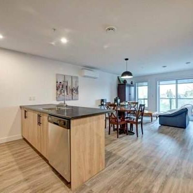 1 CH - 1 SDB - Longueuil - $1,495 /mo - Photo 4