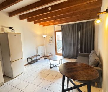 LOCATION APPARTEMENT SAINT GENIS LAVAL EN DUPLEX de 36m2 avec jardin - Photo 3