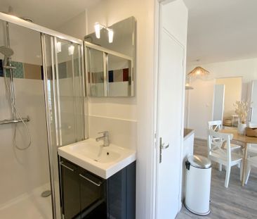 BRISOUT DE BARNEVILLE Colocation 3 chambres à Rouen - Photo 3