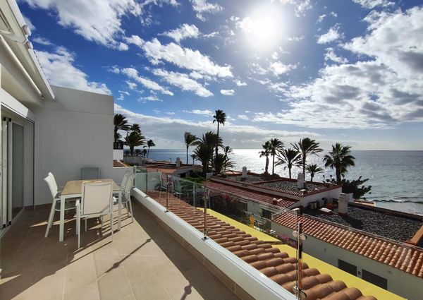 Spectacular Renovated Beachfront Bungalow in Águila Playa