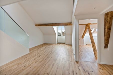 Magnifique duplex de standing au coeur de Genève - Foto 5