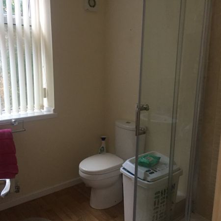 1 bed Studio - To Let - Photo 3