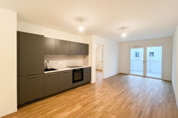 INA - Pärchenwohnung mit Freifläche nähe Wasserspielplatz Leberberg - Photo 1