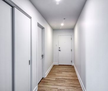 9675 Av. Papineau, app.402, H2B 3C8, H2B 3C8, Montréal - Photo 5