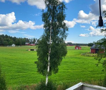 Stöcksjö Svartnäsväg, Umeå - Photo 4
