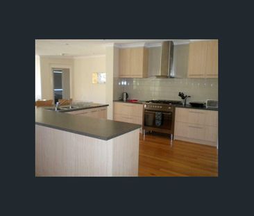 Everything You Need! - Photo 5