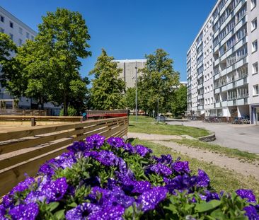 Bergslagsgatan 26 - Photo 5