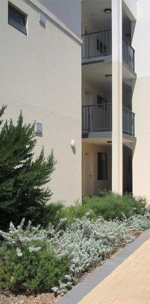 Cozy Rental Property in the Heart of MIDLAND - Affordable and Comfortable Living - Photo 1