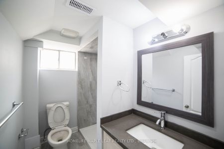 For Lease - 46 EPSOM DOWNS Drive Unit# LOWER, Brampton, Ontario - Photo 3