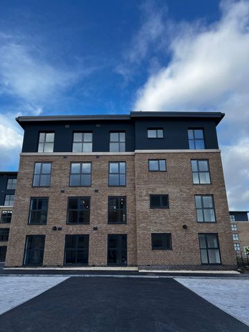 Erasmus Drive - Photo 5