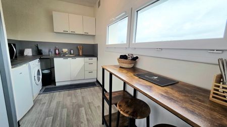 Location Appartement 1 pièce 26m² ST JEAN DE BRAYE 45800 - Photo 5