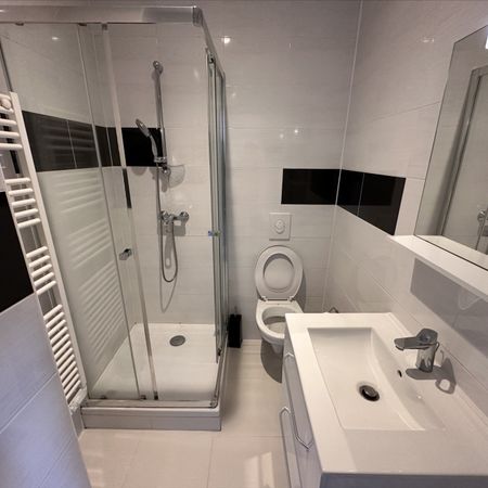 Location Appartement 1 pièce 15m² - Photo 4