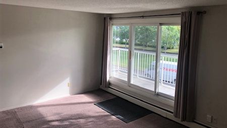 1 Bedroom Condo For Rent In Old Strathcona. - Photo 3