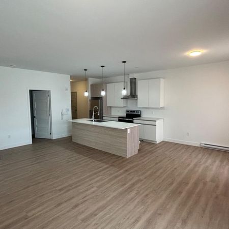 Projet St Marguerite 5 1/2 style condo à louer Disponible 1 Octobre 2025 - Photo 4