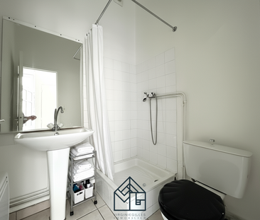 Location Appartement 1 pièce 20m² ROANNE 42300 - Photo 3