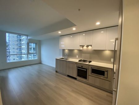 $2,195 / 1br – 521ft2 – BRAND NEW – 1 Bed/1 Bath Home w/ 1 Parking & 1 Storage unit (R0029) - Photo 3