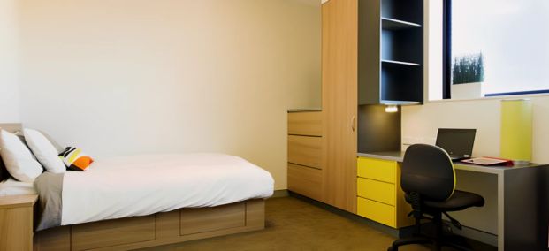 Studio Standard - Photo 1