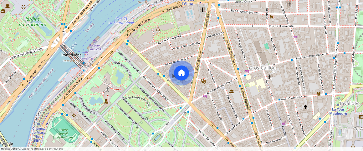 Rue du Général Camou, 75007, Paris