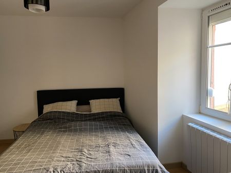 Location Appartement 3 pièces 63m² ALTKIRCH 68130 - Photo 3