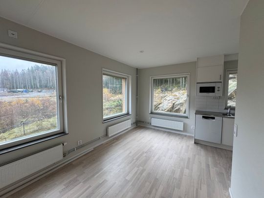 Klättergatan 7 – 2 rok (1201) - Foto 1