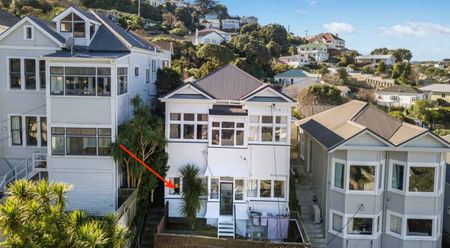 Handy in Hataitai - Photo 4