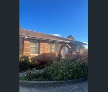 Charming Two Bedroom Unit - Photo 2