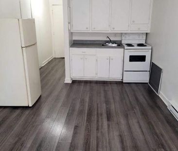 1 CH - 1 SDB - Montréal - $1,095 /mo - Photo 1