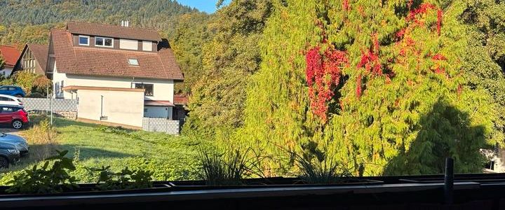 Helle und lichtdurchflutete 2-Zimmerwohnung mit 84m2 zu vermieten - Foto 1