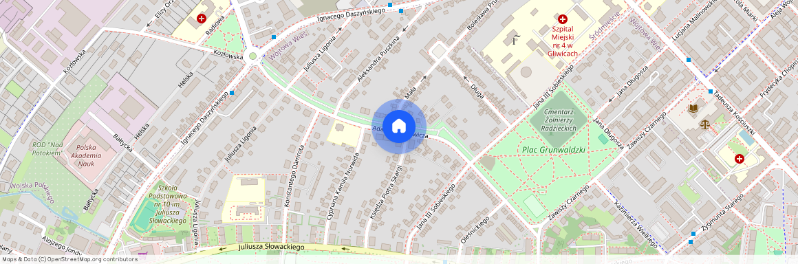 pl. Adama Mickiewicza, Wójtowa Wieś, Gliwice, śląskie