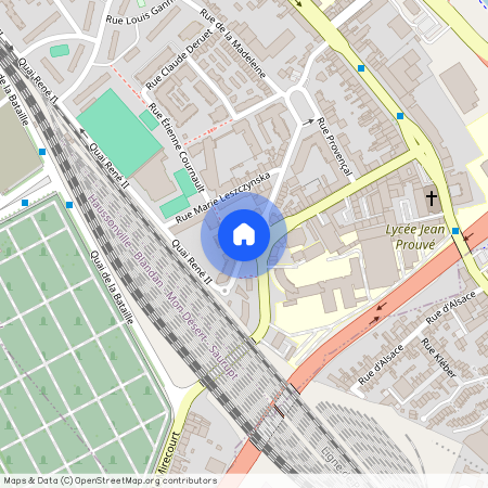 44 RUE DU DOCTEUR LOUIS MICHEL, Rene Ii Bonsecours La Madeleine, Nancy