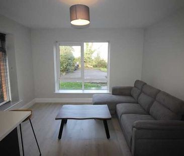 Castlejane Court, Glanmire - Photo 3